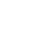 Owl Icon